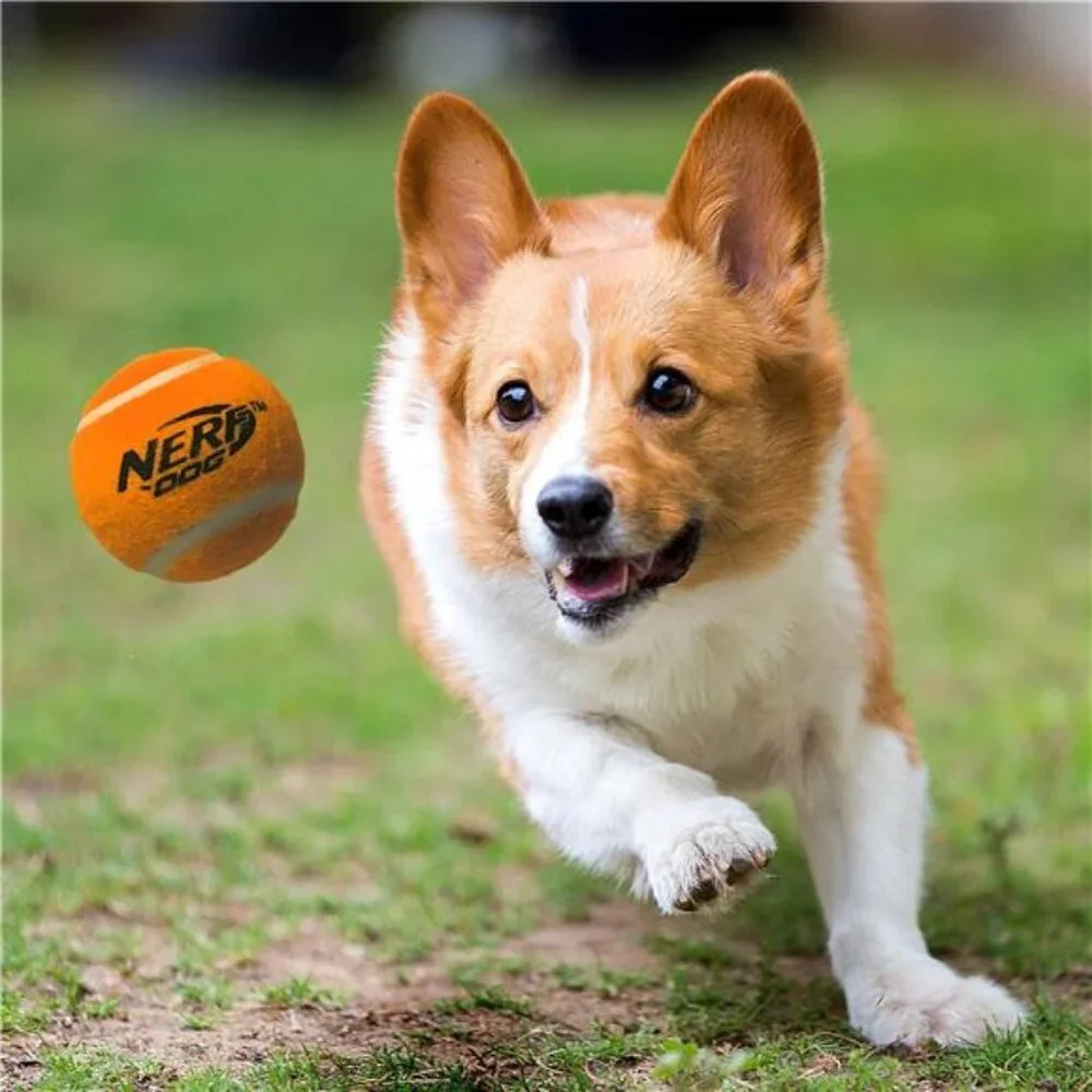 Nerf Dog 2.5-inch Squeak Tennis Ball Dog Toy 3-Pack
